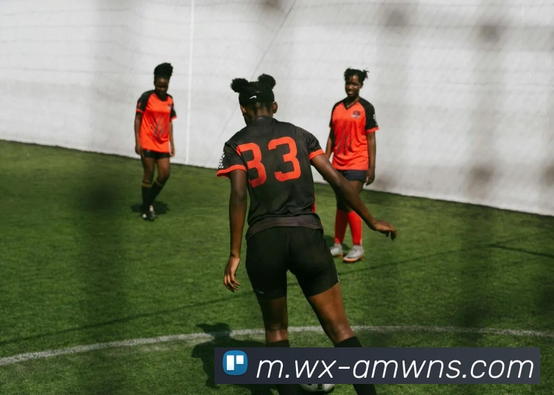 多媒体互动体验